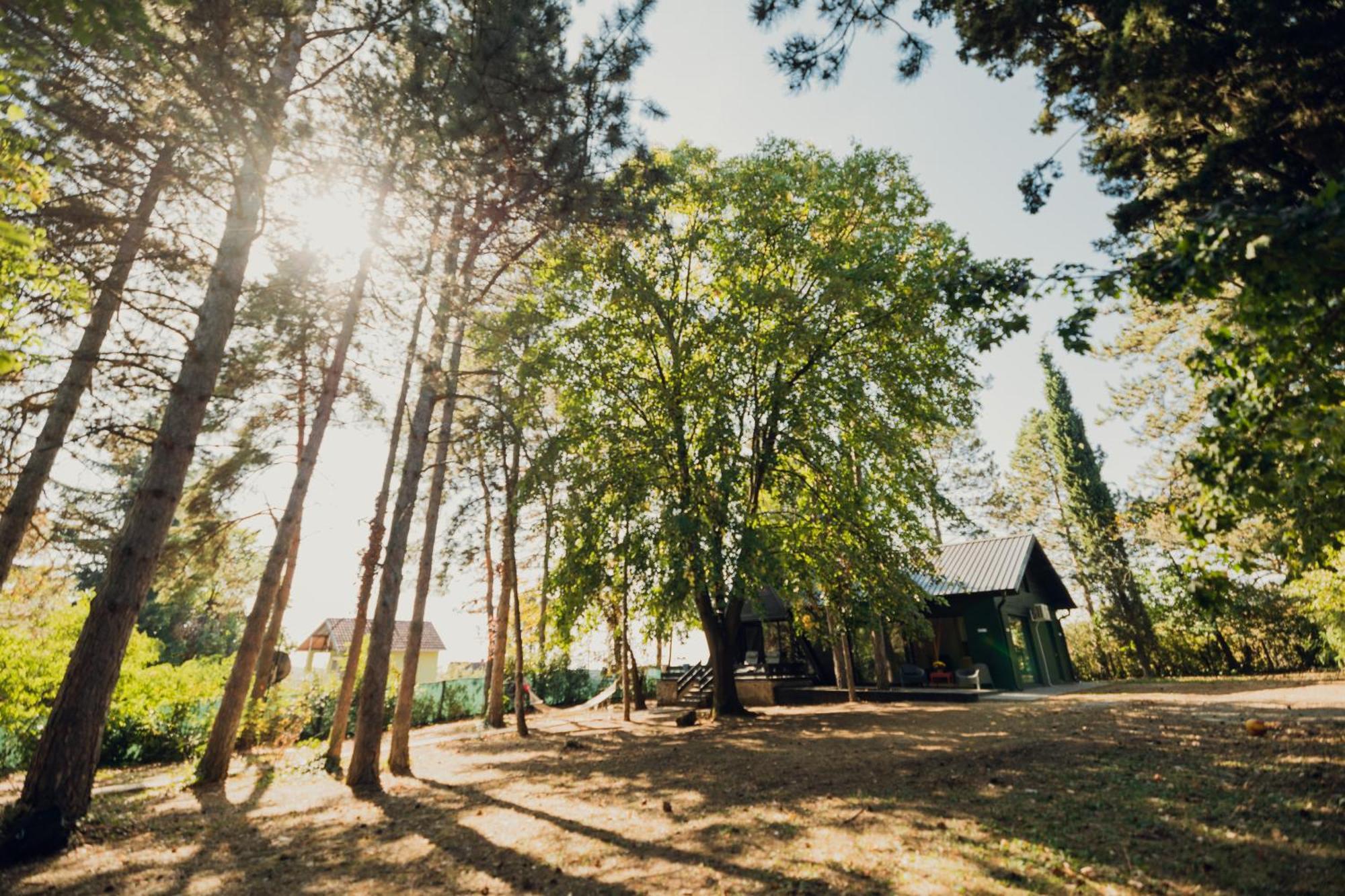 Kuca Za Odmor Vrdnik Exterior foto