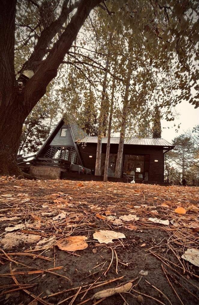 Kuca Za Odmor Vrdnik Exterior foto